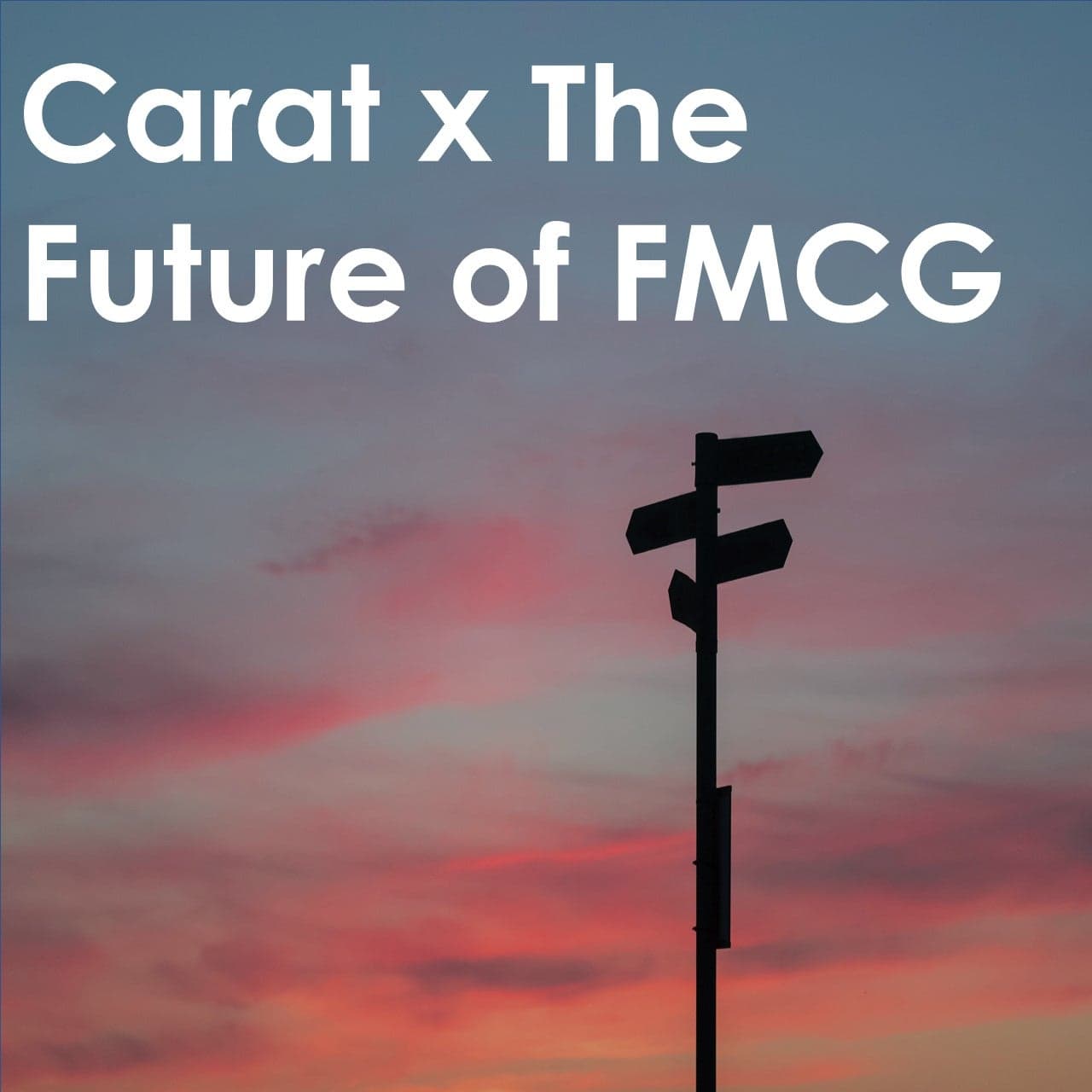 Future of FMCG cover image