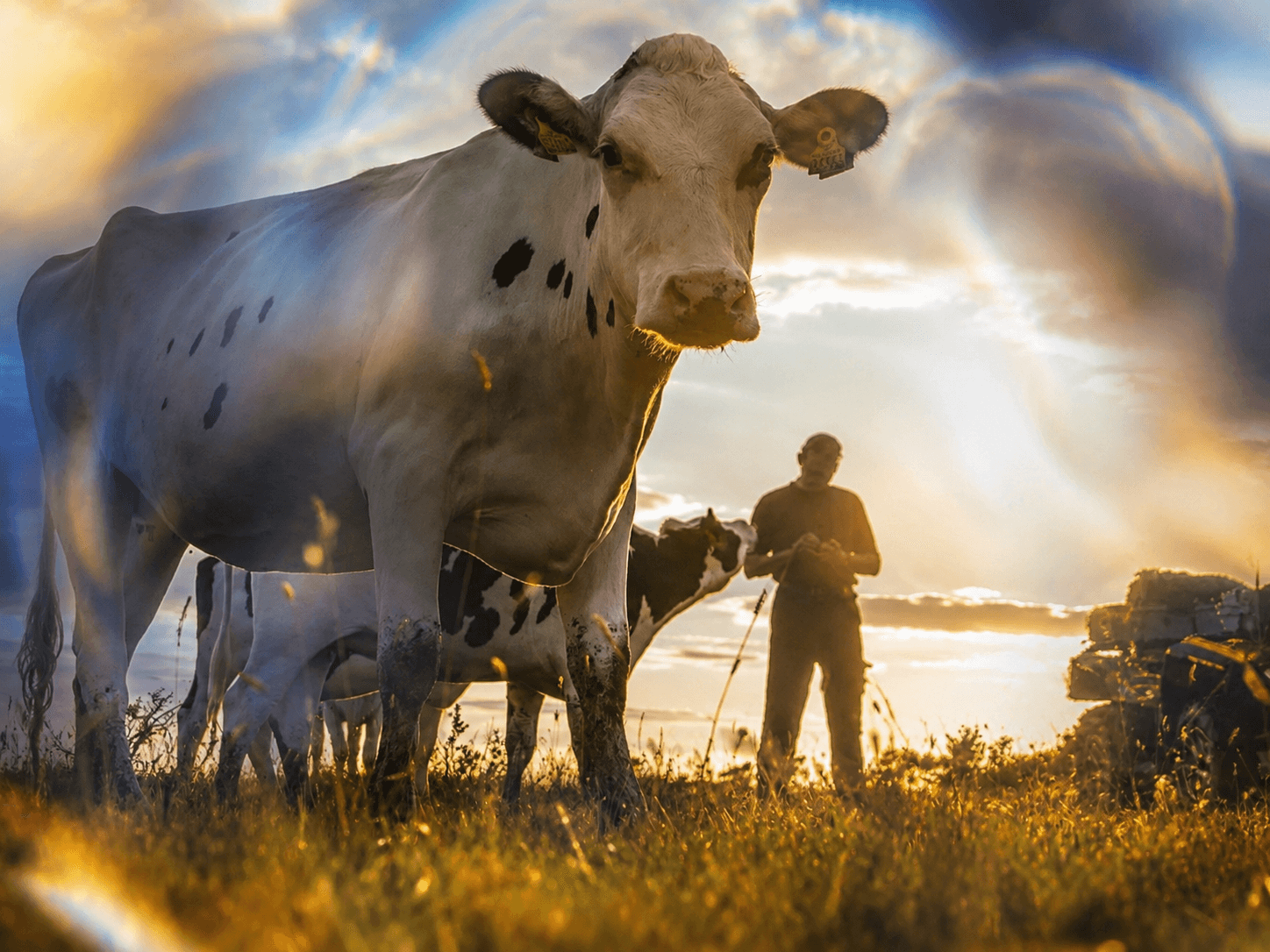 Arla Foods Renews 25-Year Partnership with Carat in Key European Markets cover image